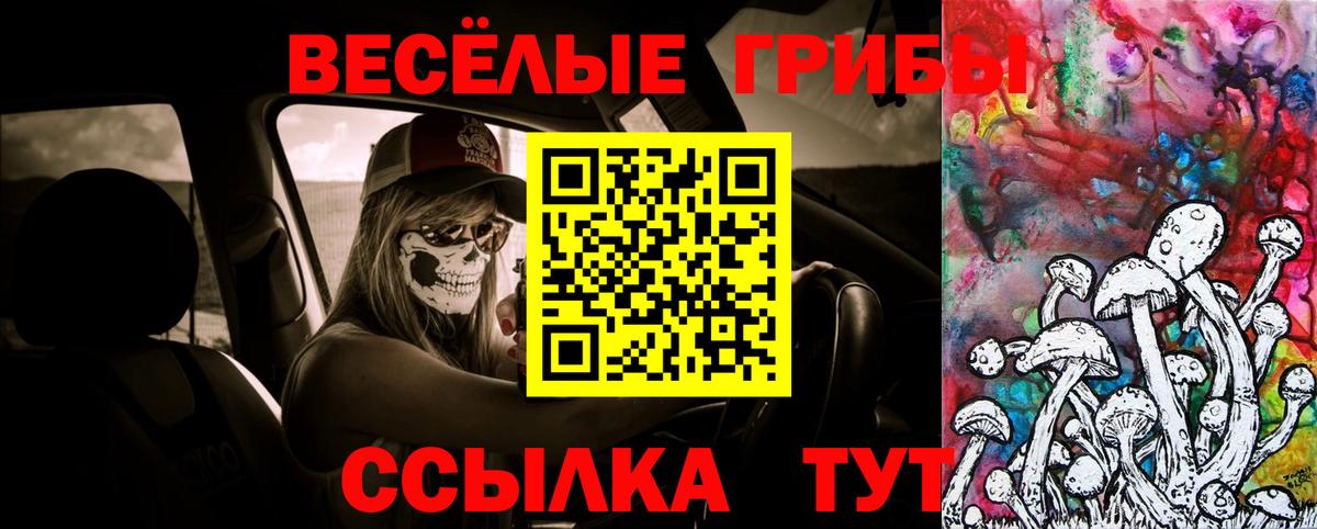 Галлюциногенные грибы мицелий  Вход с VPN  Ногинск  Галлюциногенные грибы прущие грибы 
